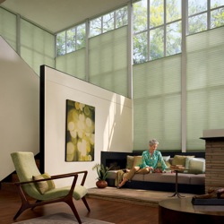 Duette® Architella® Honeycomb Shades - Norwalk CT